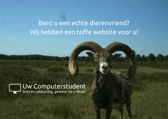 Bent u een echte dierenvriend? Wij hebben een toffe website voor u! 21 Helpt u mee 1