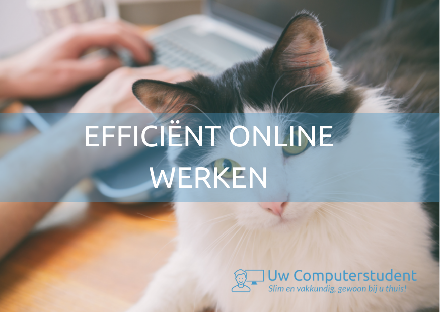 Efficiënt online werken