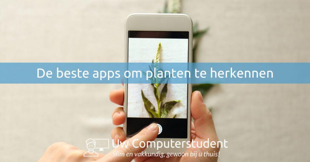 Planten herkennen 23 Planten herkennen, met deze apps wordt het een makkie