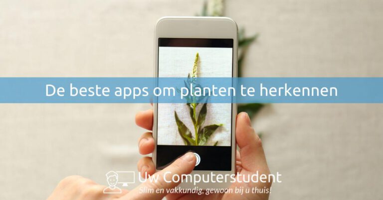 Planten herkennen, met deze apps wordt het een makkie
